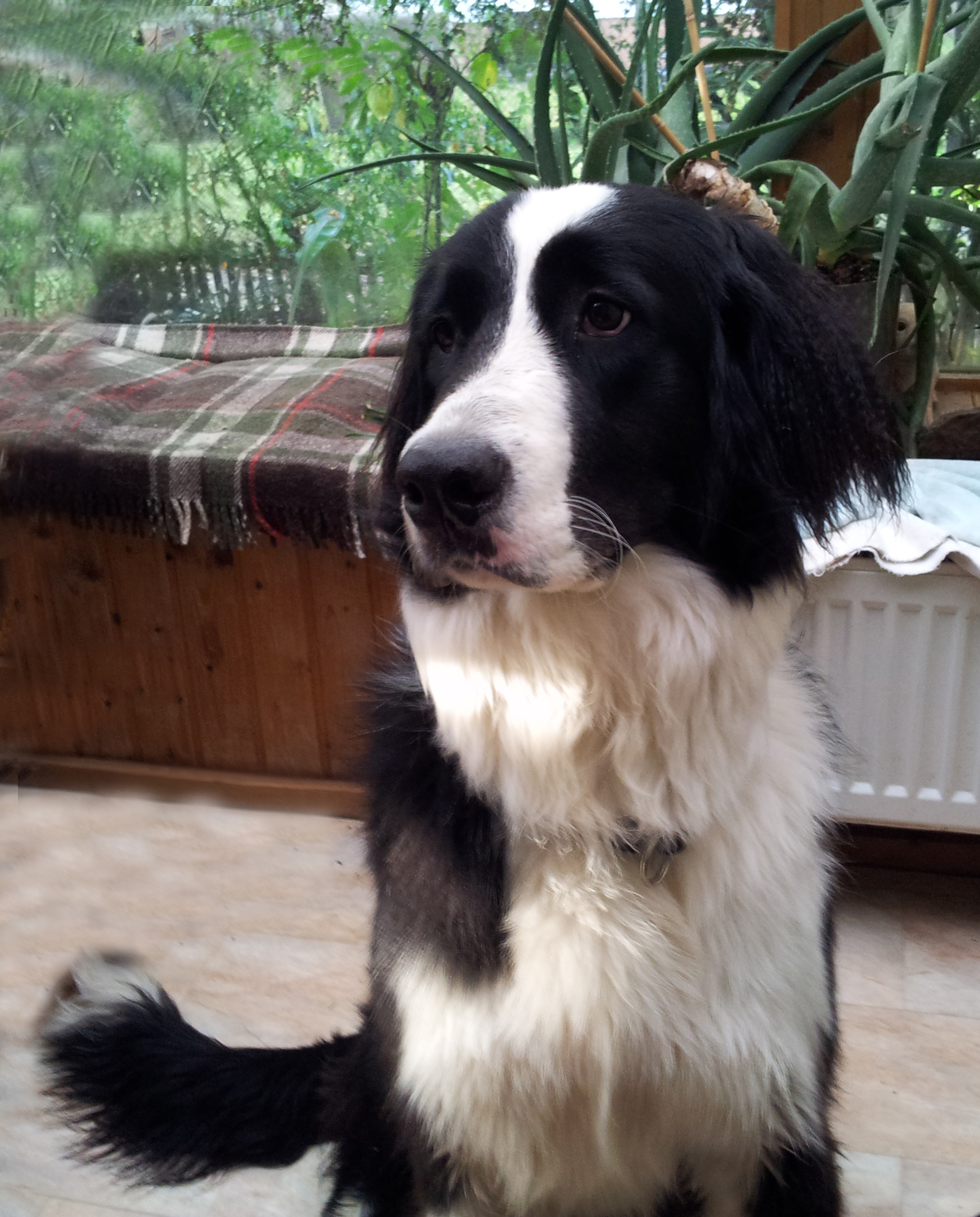 Macy-1